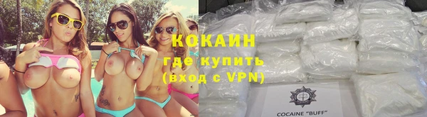 мдпв Ладушкин