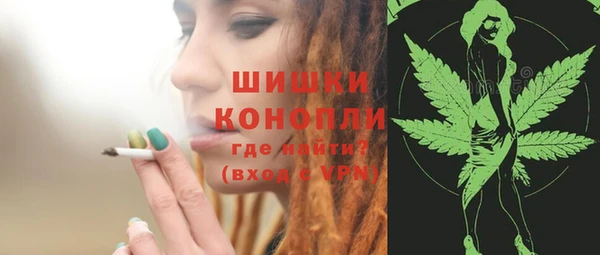 дурь Лабытнанги
