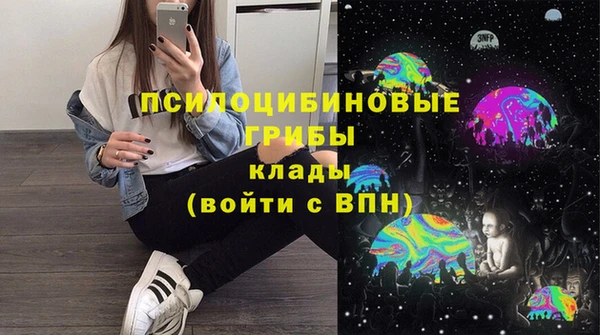мдпв Ладушкин