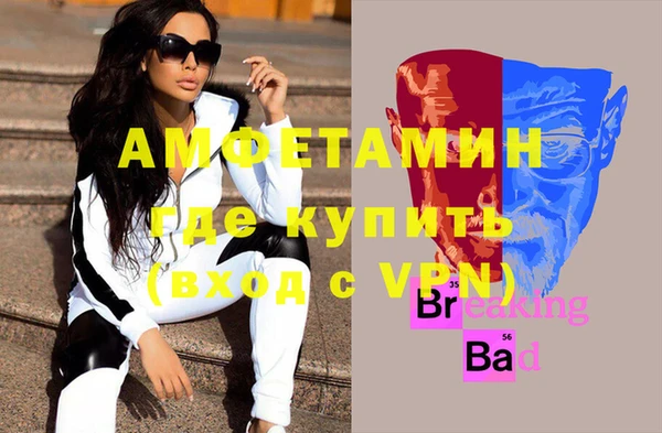 мдпв Ладушкин