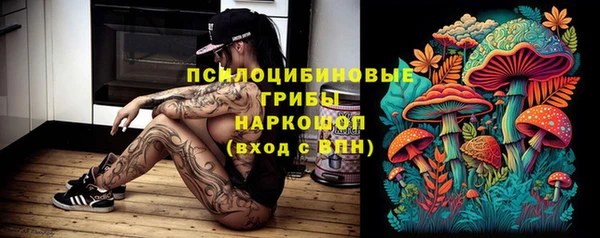молекула духа Липки