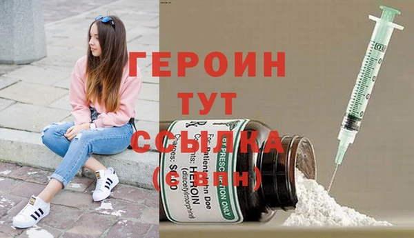 мдпв Ладушкин