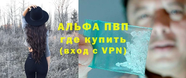 мдпв Ладушкин