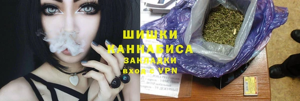 дурь Лабытнанги