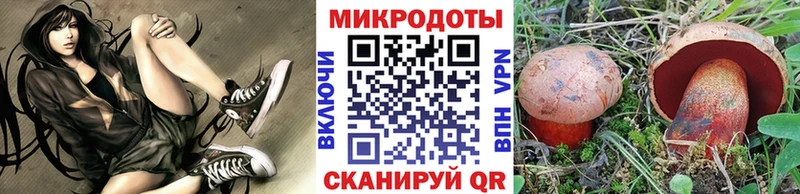 Купить где  Верея  Галлюциногенные грибы MAGIC MUSHROOMS 